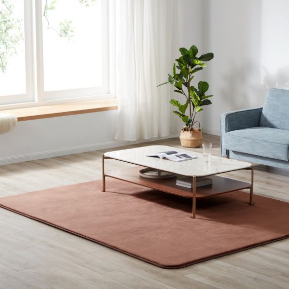 ラグ ラグマット はっ水 極厚20mm 抗菌防臭 200×200cm カーペット 厚手 滑り止め 洗える 角型 撥水 床暖房 ホットカーペット おしゃれ 防カビ